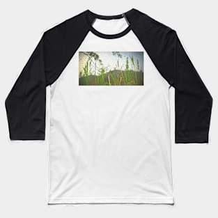 Pampas Grass Baseball T-Shirt